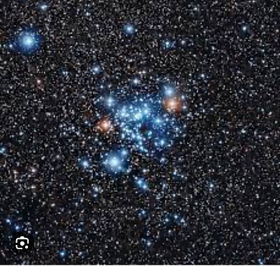 Blue Straggler Stars